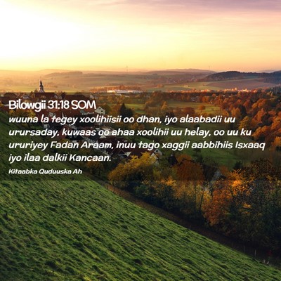 Picture 02 - Bilowgii 31:18 SOM - wuuna la tegey xoolihiisii oo dhan, iyo alaabadii - Bible Verse Picture