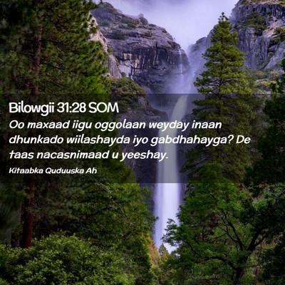 Picture 02 - Bilowgii 31:28 SOM - Oo maxaad iigu oggolaan weyday inaan dhunkado - Bible Verse Picture
