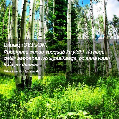 Picture 02 - Bilowgii 31:3 SOM - Rabbiguna wuxuu Yacquub ku yidhi, Ku noqo dalkii - Bible Verse Picture