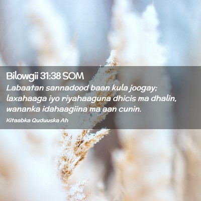 Picture 02 - Bilowgii 31:38 SOM - Labaatan sannadood baan kula joogay; laxahaaga - Bible Verse Picture