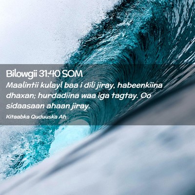 Picture 02 - Bilowgii 31:40 SOM - Maalintii kulayl baa i dili jiray, habeenkiina - Bible Verse Picture