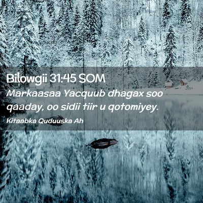Picture 02 - Bilowgii 31:45 SOM - Markaasaa Yacquub dhagax soo qaaday, oo sidii - Bible Verse Picture