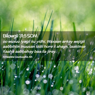 Picture 02 - Bilowgii 31:5 SOM - oo wuxuu iyagii ku yidhi, Waxaan arkay wejigii - Bible Verse Picture