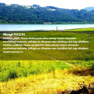 Picture 02 - Bilowgii 31:8 SOM - Hadduu yidhi, Kuwa dhibicyada lahu waxay noqon - Bible Verse Picture