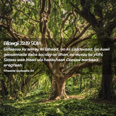 Picture 02 - Bilowgii 32:19 SOM - Sidaasuu ku amray kii labaad, iyo kii saddexaad, - Bible Verse Picture