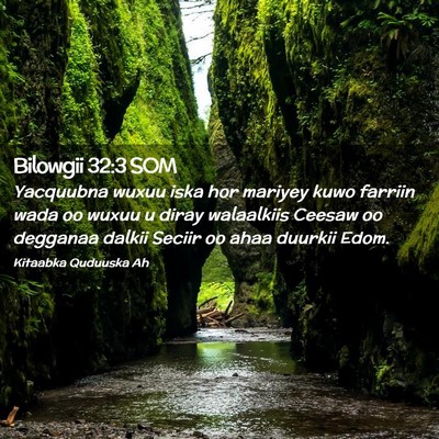 Picture 02 - Bilowgii 32:3 SOM - Yacquubna wuxuu iska hor mariyey kuwo farriin - Bible Verse Picture