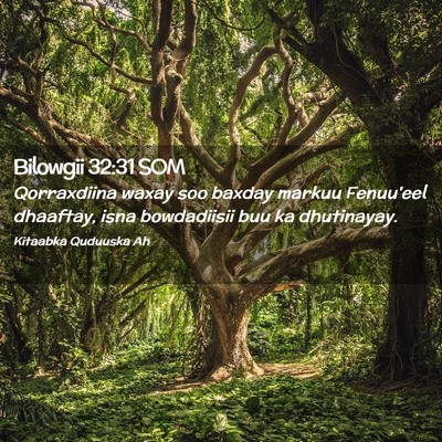 Picture 02 - Bilowgii 32:31 SOM - Qorraxdiina waxay soo baxday markuu Fenuu'eel - Bible Verse Picture