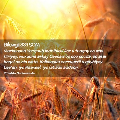 Picture 02 - Bilowgii 33:1 SOM - Markaasaa Yacquub indhihiisii kor u taagay oo wax - Bible Verse Picture