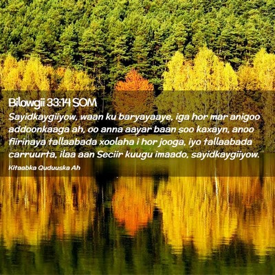 Picture 02 - Bilowgii 33:14 SOM - Sayidkaygiiyow, waan ku baryayaaye, iga hor mar - Bible Verse Picture