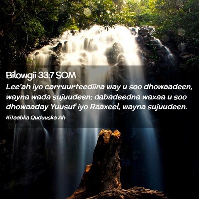 Picture 02 - Bilowgii 33:7 SOM - Lee'ah iyo carruurteediina way u soo dhowaadeen, - Bible Verse Picture