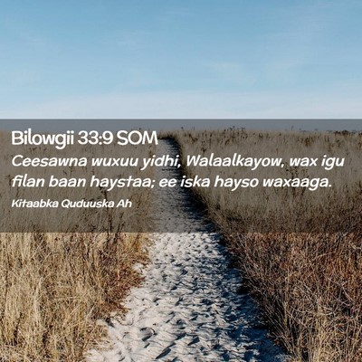 Picture 02 - Bilowgii 33:9 SOM - Ceesawna wuxuu yidhi, Walaalkayow, wax igu filan - Bible Verse Picture