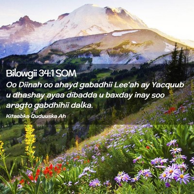Picture 02 - Bilowgii 34:1 SOM - Oo Diinah oo ahayd gabadhii Lee'ah ay Yacquub u - Bible Verse Picture