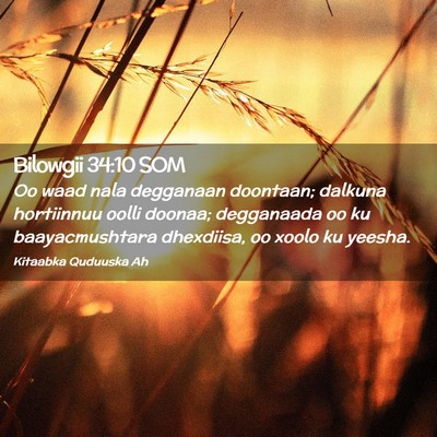 Picture 02 - Bilowgii 34:10 SOM - Oo waad nala degganaan doontaan; dalkuna - Bible Verse Picture