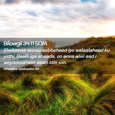 Picture 02 - Bilowgii 34:11 SOM - Shekemna wuxuu aabbeheed iyo walaalaheed ku - Bible Verse Picture
