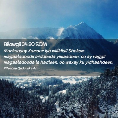 Picture 02 - Bilowgii 34:20 SOM - Markaasay Xamoor iyo wiilkiisii Shekem - Bible Verse Picture