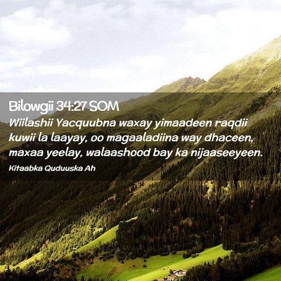 Picture 02 - Bilowgii 34:27 SOM - Wiilashii Yacquubna waxay yimaadeen raqdii kuwii - Bible Verse Picture