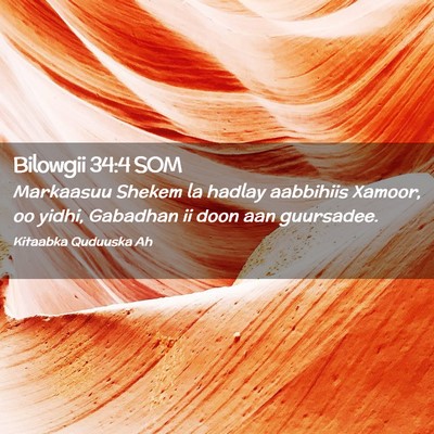 Picture 02 - Bilowgii 34:4 SOM - Markaasuu Shekem la hadlay aabbihiis Xamoor, oo - Bible Verse Picture