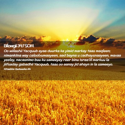 Picture 02 - Bilowgii 34:7 SOM - Oo wiilashii Yacquub ayaa duurka ka yimid markay - Bible Verse Picture