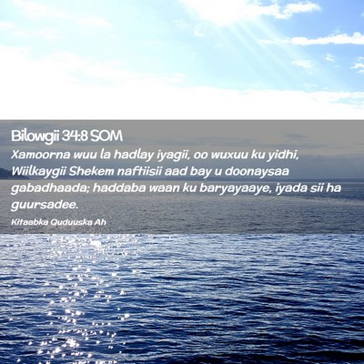 Picture 02 - Bilowgii 34:8 SOM - Xamoorna wuu la hadlay iyagii, oo wuxuu ku yidhi, - Bible Verse Picture