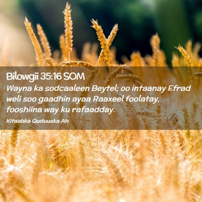 Picture 02 - Bilowgii 35:16 SOM - Wayna ka sodcaaleen Beytel; oo intaanay Efrad - Bible Verse Picture