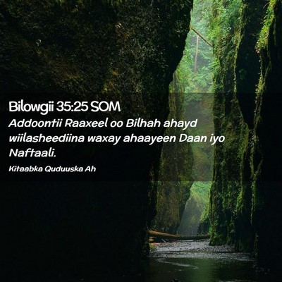 Picture 02 - Bilowgii 35:25 SOM - Addoontii Raaxeel oo Bilhah ahayd wiilasheediina - Bible Verse Picture