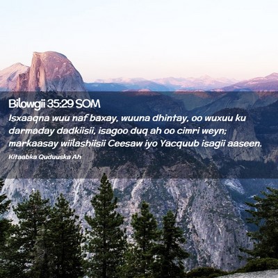 Picture 02 - Bilowgii 35:29 SOM - Isxaaqna wuu naf baxay, wuuna dhintay, oo wuxuu - Bible Verse Picture