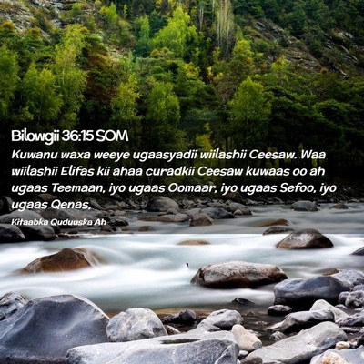 Picture 02 - Bilowgii 36:15 SOM - Kuwanu waxa weeye ugaasyadii wiilashii Ceesaw. - Bible Verse Picture