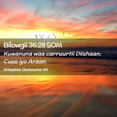 Picture 02 - Bilowgii 36:28 SOM - Kuwanuna waa carruurtii Diishaan; Cuus iyo - Bible Verse Picture