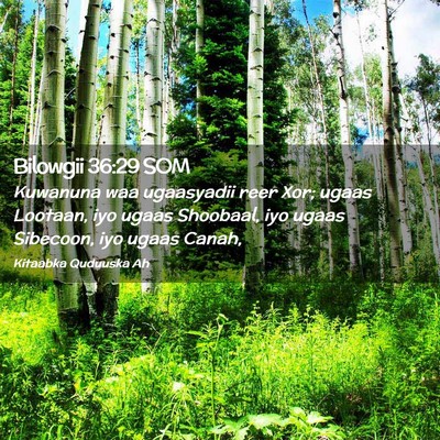 Picture 02 - Bilowgii 36:29 SOM - Kuwanuna waa ugaasyadii reer Xor; ugaas Lootaan, - Bible Verse Picture