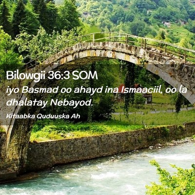 Picture 02 - Bilowgii 36:3 SOM - iyo Basmad oo ahayd ina Ismaaciil, oo la dhalatay - Bible Verse Picture