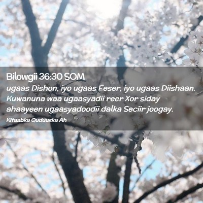 Picture 02 - Bilowgii 36:30 SOM - ugaas Dishon, iyo ugaas Eeser, iyo ugaas - Bible Verse Picture