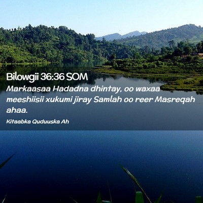 Picture 02 - Bilowgii 36:36 SOM - Markaasaa Hadadna dhintay, oo waxaa meeshiisii - Bible Verse Picture