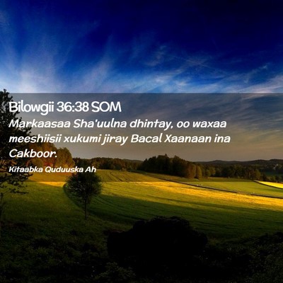 Picture 02 - Bilowgii 36:38 SOM - Markaasaa Sha'uulna dhintay, oo waxaa meeshiisii - Bible Verse Picture