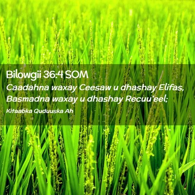 Picture 02 - Bilowgii 36:4 SOM - Caadahna waxay Ceesaw u dhashay Elifas, Basmadna - Bible Verse Picture
