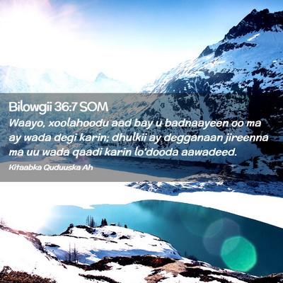 Picture 02 - Bilowgii 36:7 SOM - Waayo, xoolahoodu aad bay u badnaayeen oo ma ay - Bible Verse Picture