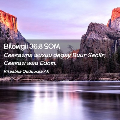 Picture 02 - Bilowgii 36:8 SOM - Ceesawna wuxuu degay Buur Seciir; Ceesaw waa - Bible Verse Picture