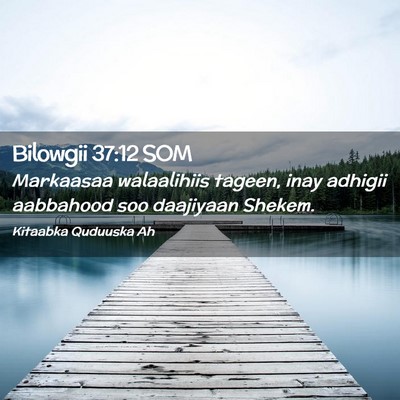 Picture 02 - Bilowgii 37:12 SOM - Markaasaa walaalihiis tageen, inay adhigii - Bible Verse Picture