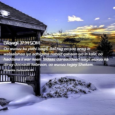 Picture 02 - Bilowgii 37:14 SOM - Oo wuxuu ku yidhi isagii, Bal tag oo soo arag in - Bible Verse Picture