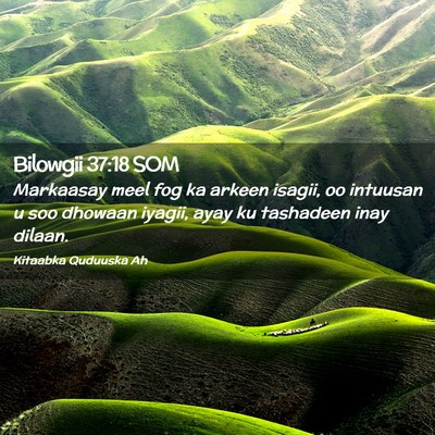 Picture 02 - Bilowgii 37:18 SOM - Markaasay meel fog ka arkeen isagii, oo intuusan - Bible Verse Picture