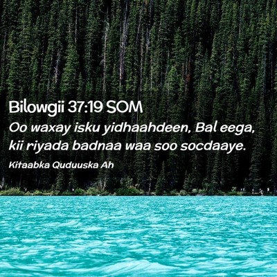 Picture 02 - Bilowgii 37:19 SOM - Oo waxay isku yidhaahdeen, Bal eega, kii riyada - Bible Verse Picture