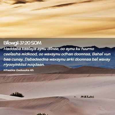Picture 02 - Bilowgii 37:20 SOM - Haddaba kaalaya aynu dilnee, oo aynu ku tuurno - Bible Verse Picture