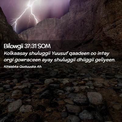 Picture 02 - Bilowgii 37:31 SOM - Kolkaasay shuluggii Yuusuf qaadeen oo intay orgi - Bible Verse Picture