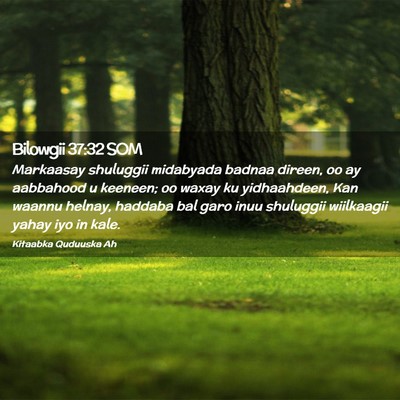 Picture 02 - Bilowgii 37:32 SOM - Markaasay shuluggii midabyada badnaa direen, oo - Bible Verse Picture
