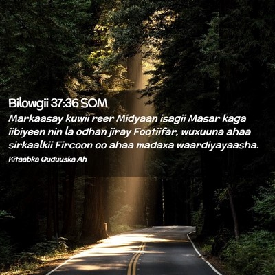 Picture 02 - Bilowgii 37:36 SOM - Markaasay kuwii reer Midyaan isagii Masar kaga - Bible Verse Picture
