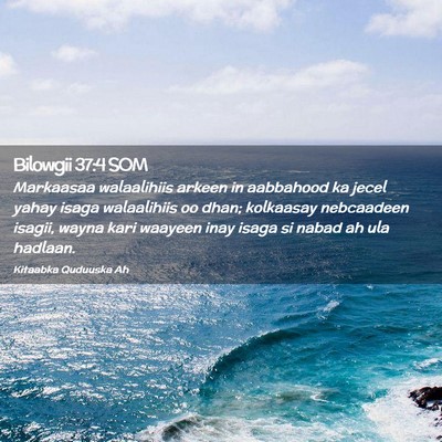 Picture 02 - Bilowgii 37:4 SOM - Markaasaa walaalihiis arkeen in aabbahood ka - Bible Verse Picture