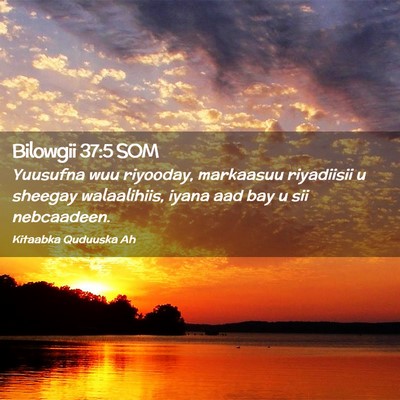 Picture 02 - Bilowgii 37:5 SOM - Yuusufna wuu riyooday, markaasuu riyadiisii u - Bible Verse Picture