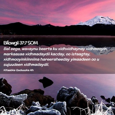 Picture 02 - Bilowgii 37:7 SOM - Bal eega, waxaynu beerta ku xidhxidhaynay - Bible Verse Picture