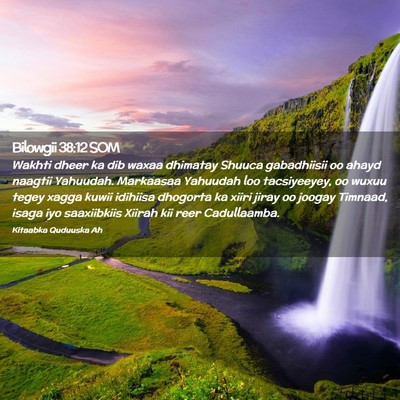 Picture 02 - Bilowgii 38:12 SOM - Wakhti dheer ka dib waxaa dhimatay Shuuca - Bible Verse Picture