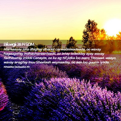 Picture 02 - Bilowgii 38:14 SOM - Markaasay iska dhigtay dharkii carmalinimadeeda, - Bible Verse Picture