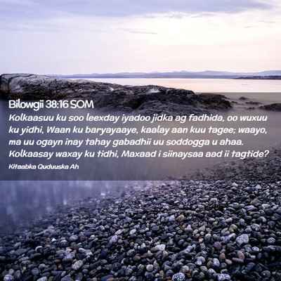 Picture 02 - Bilowgii 38:16 SOM - Kolkaasuu ku soo leexday iyadoo jidka ag fadhida, - Bible Verse Picture